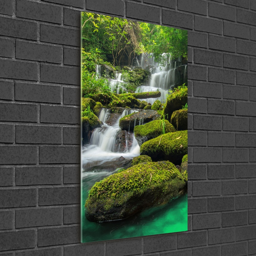 Print on acrylic glass Waterfall in the jungle