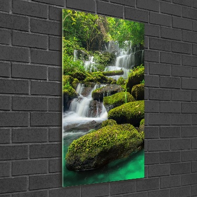 Print on acrylic glass Waterfall in the jungle