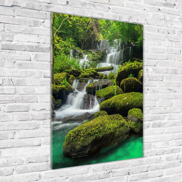 Print on acrylic glass Waterfall in the jungle