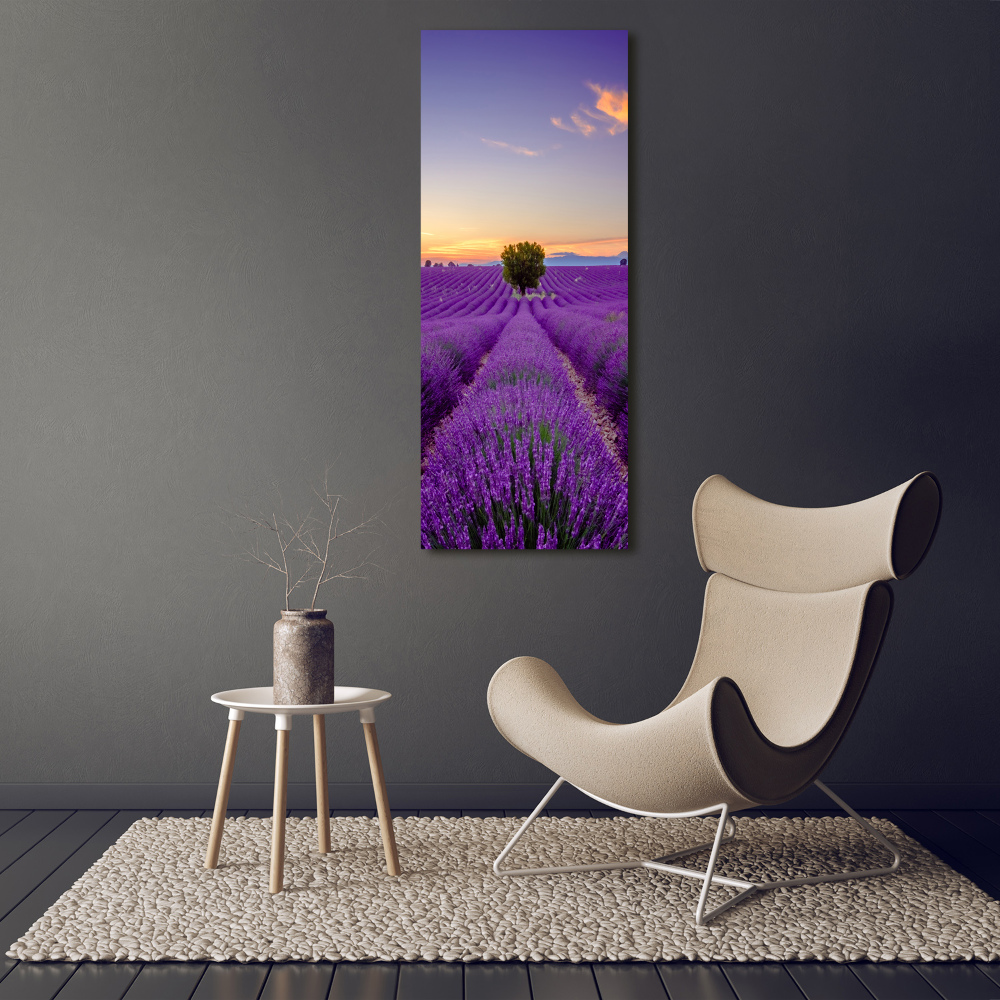 Print on acrylic glass Lavender field