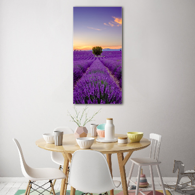 Print on acrylic glass Lavender field