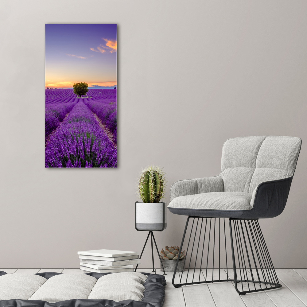 Print on acrylic glass Lavender field