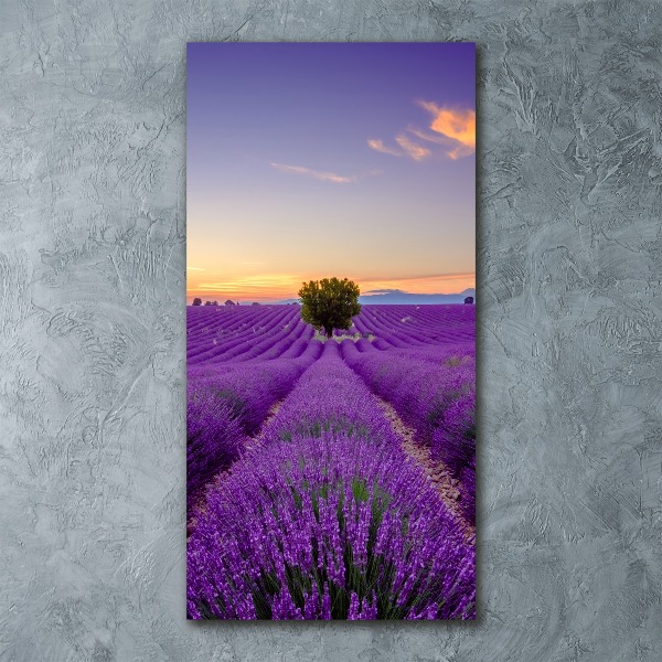 Print on acrylic glass Lavender field