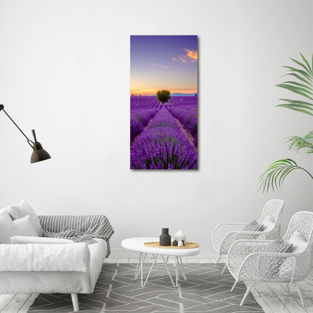 Print on acrylic glass Lavender field