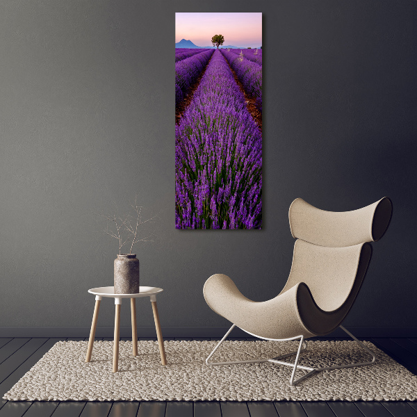 Acrylic glass print Lavender field