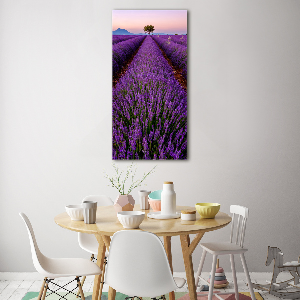 Acrylic glass print Lavender field