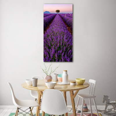 Acrylic glass print Lavender field