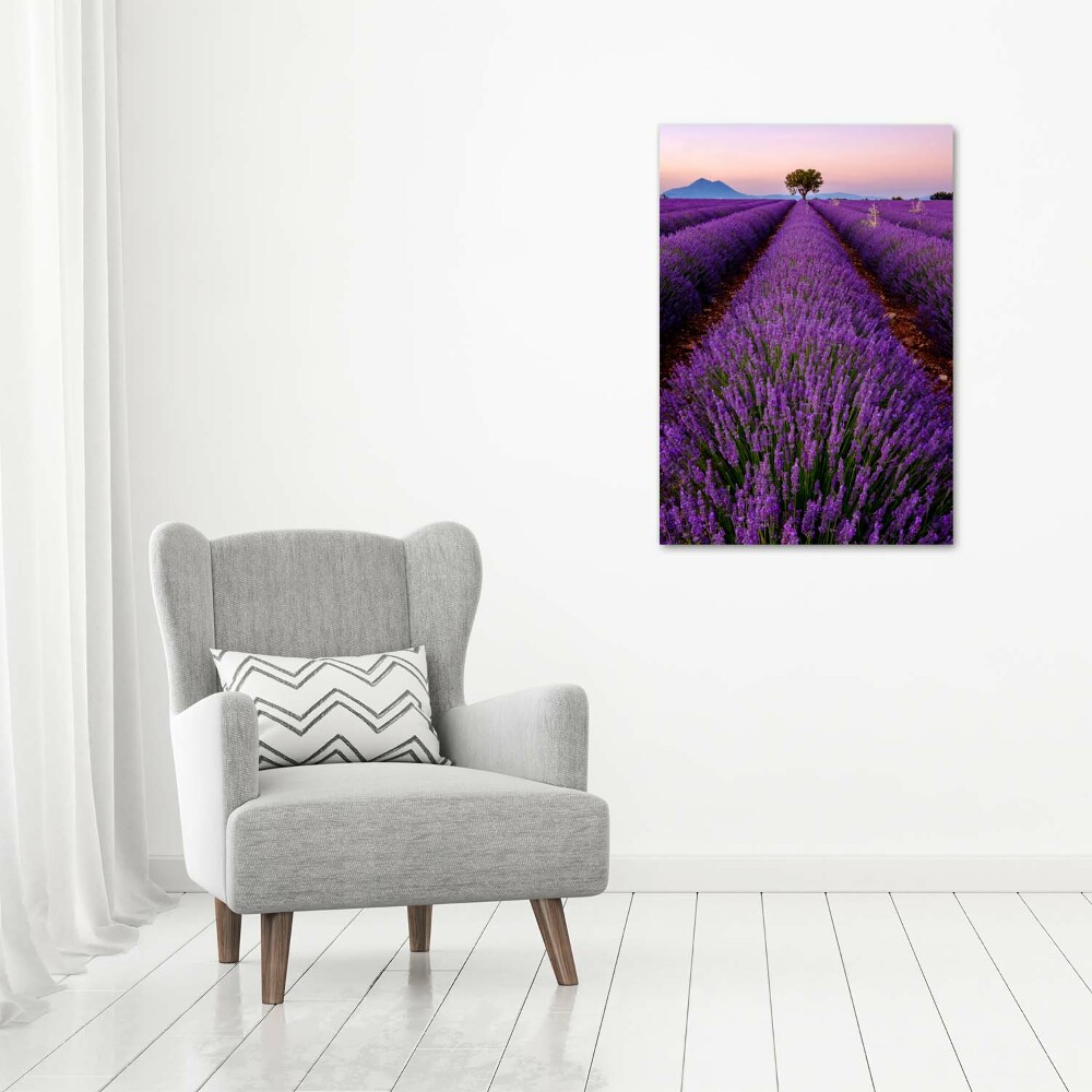 Acrylic glass print Lavender field