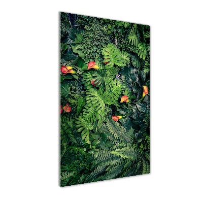 Print on acrylic Tropical plants