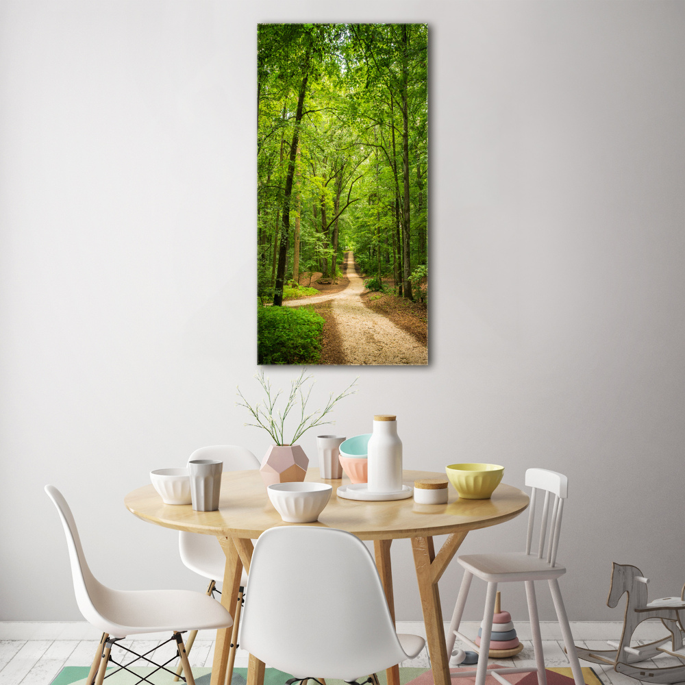 Acrylic glass print Path in the forest