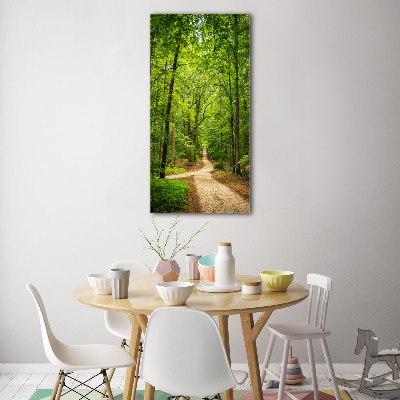 Acrylic glass print Path in the forest