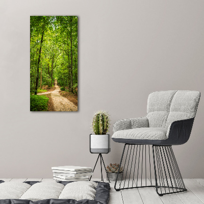 Acrylic glass print Path in the forest