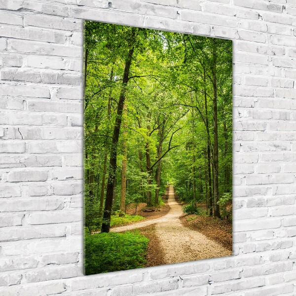 Acrylic glass print Path in the forest