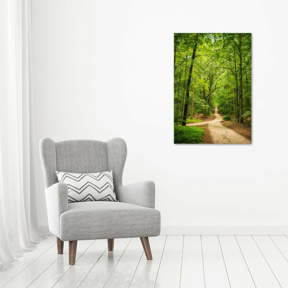 Acrylic glass print Path in the forest