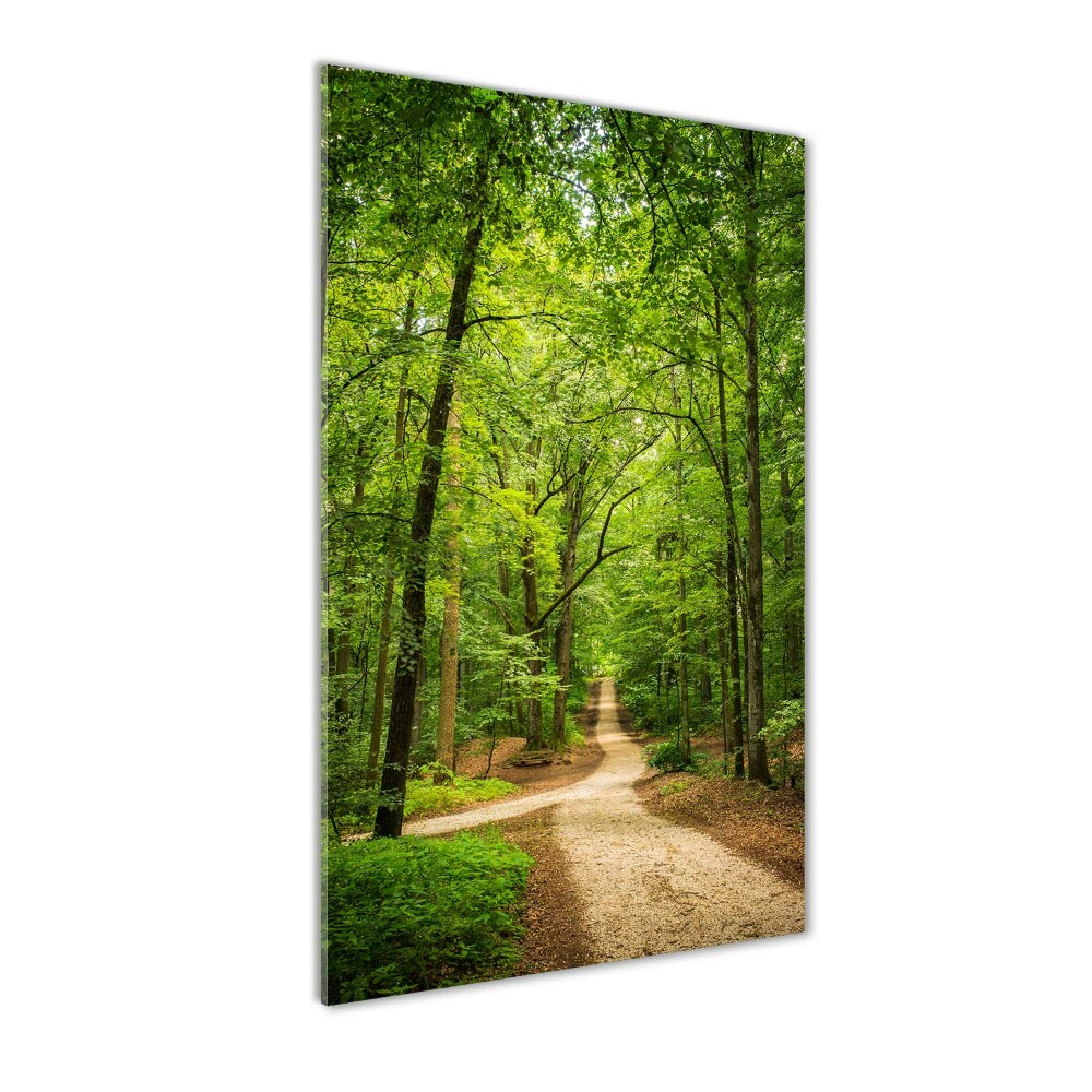 Acrylic glass print Path in the forest