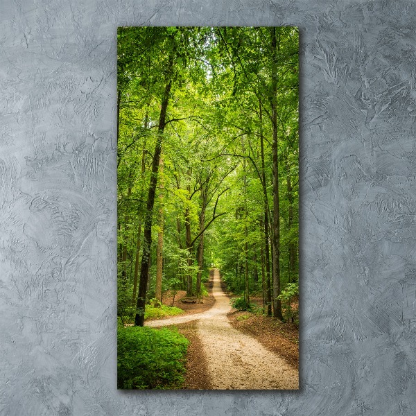 Acrylic glass print Path in the forest