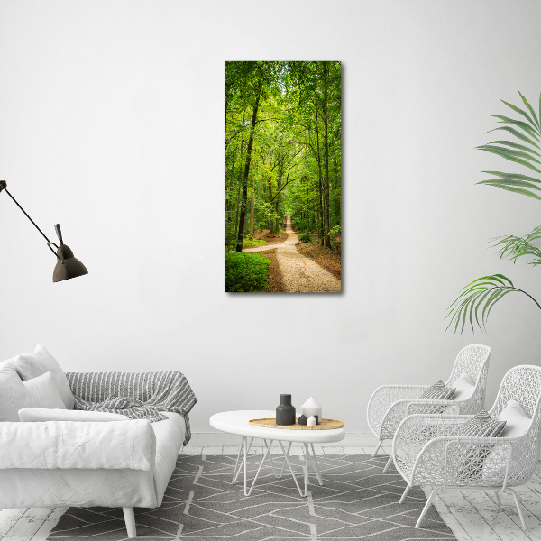 Acrylic glass print Path in the forest