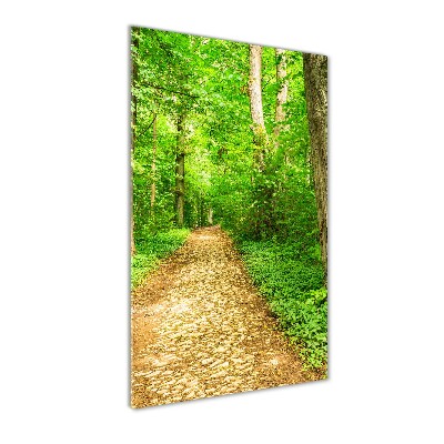 Acrylic glass print Path in the forest