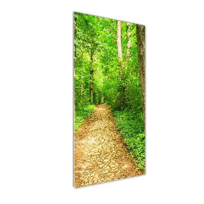 Acrylic glass print Path in the forest