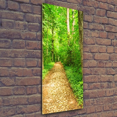 Acrylic glass print Path in the forest