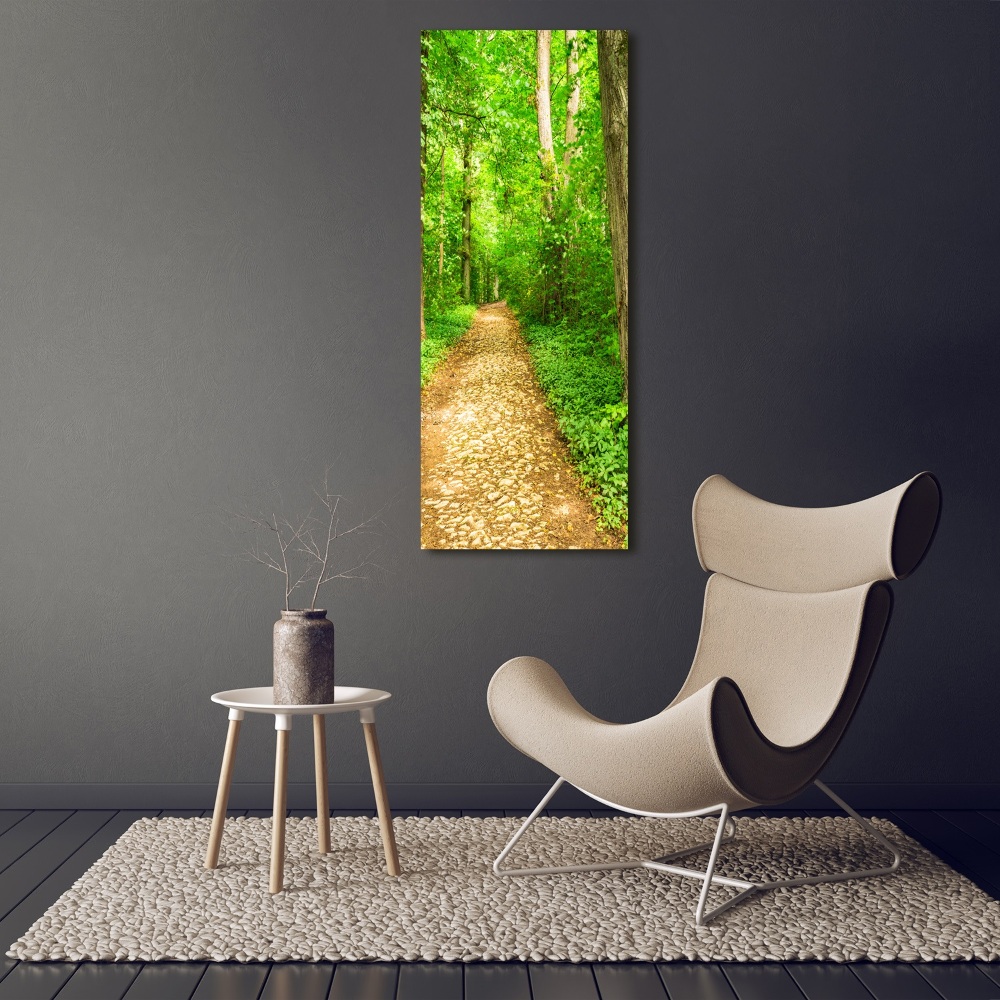 Acrylic glass print Path in the forest