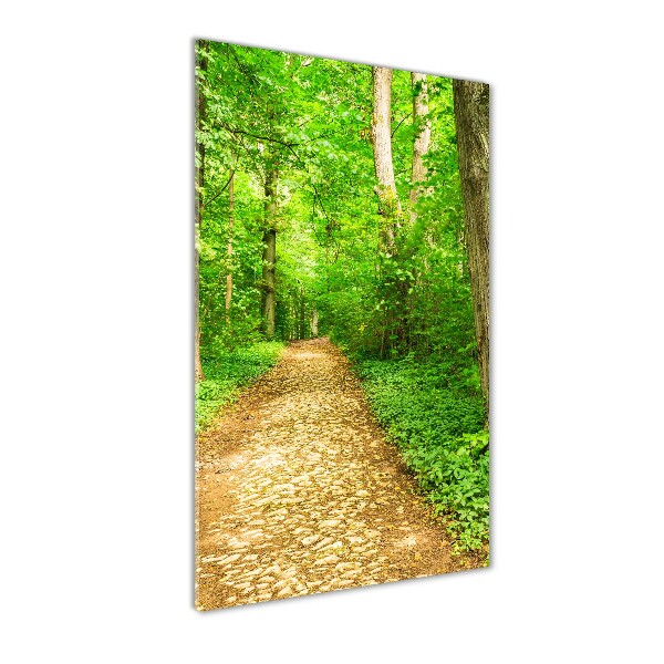 Acrylic glass print Path in the forest