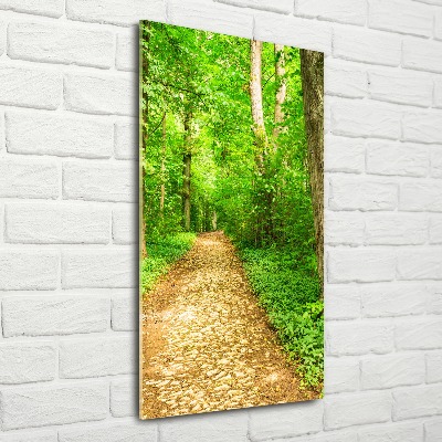 Acrylic glass print Path in the forest