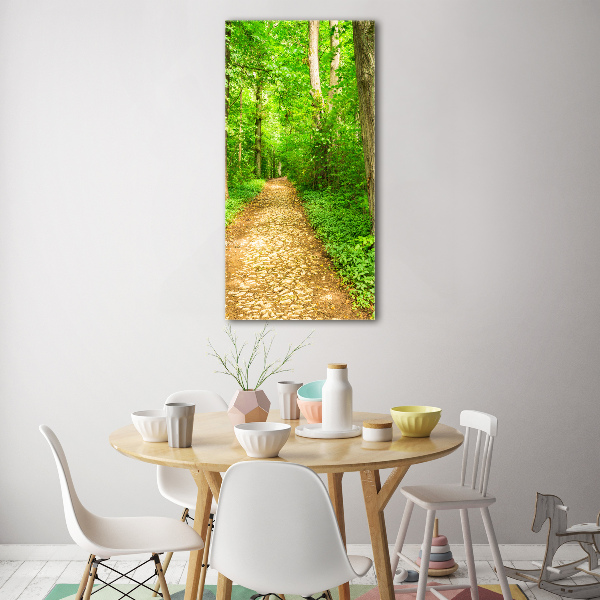 Acrylic glass print Path in the forest