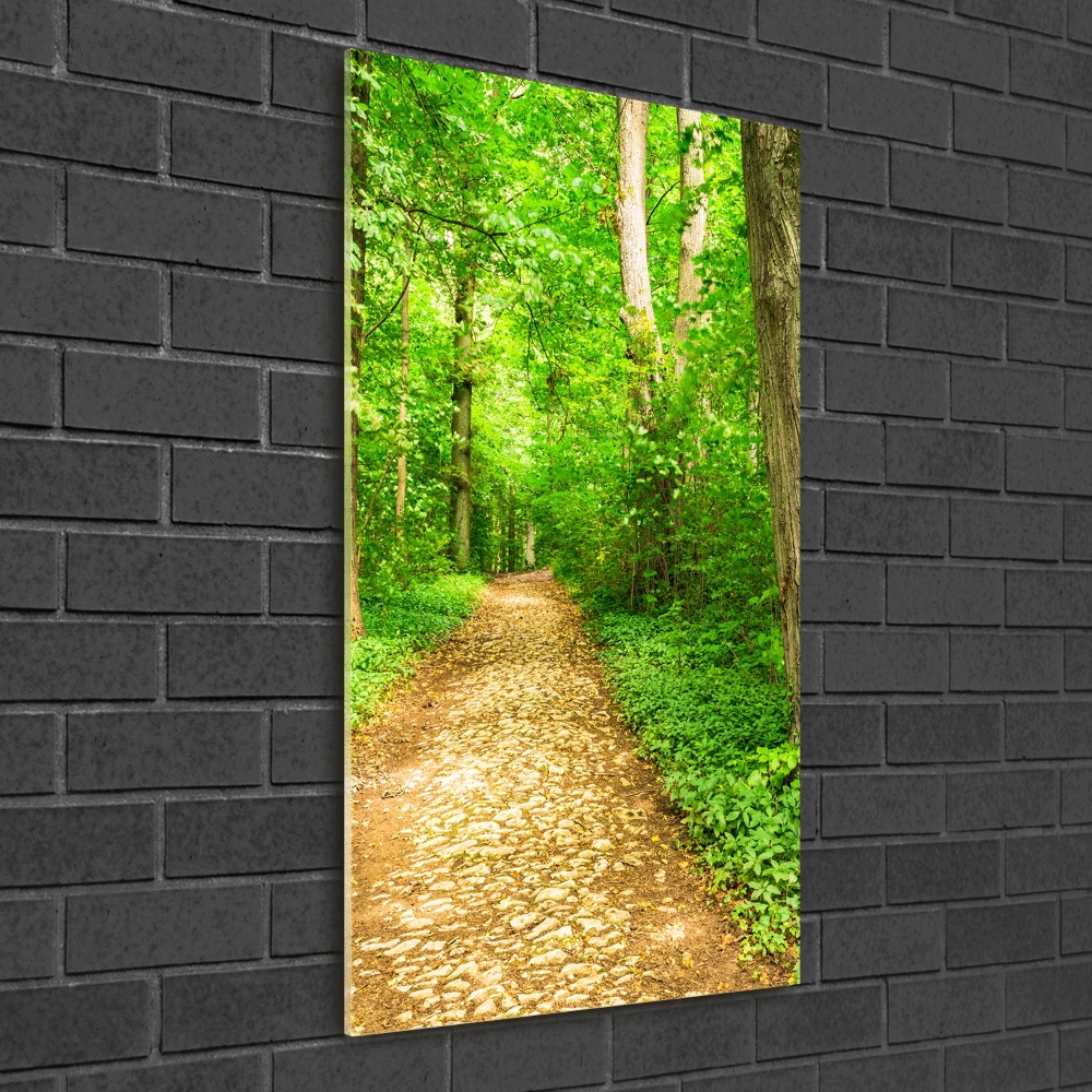 Acrylic glass print Path in the forest