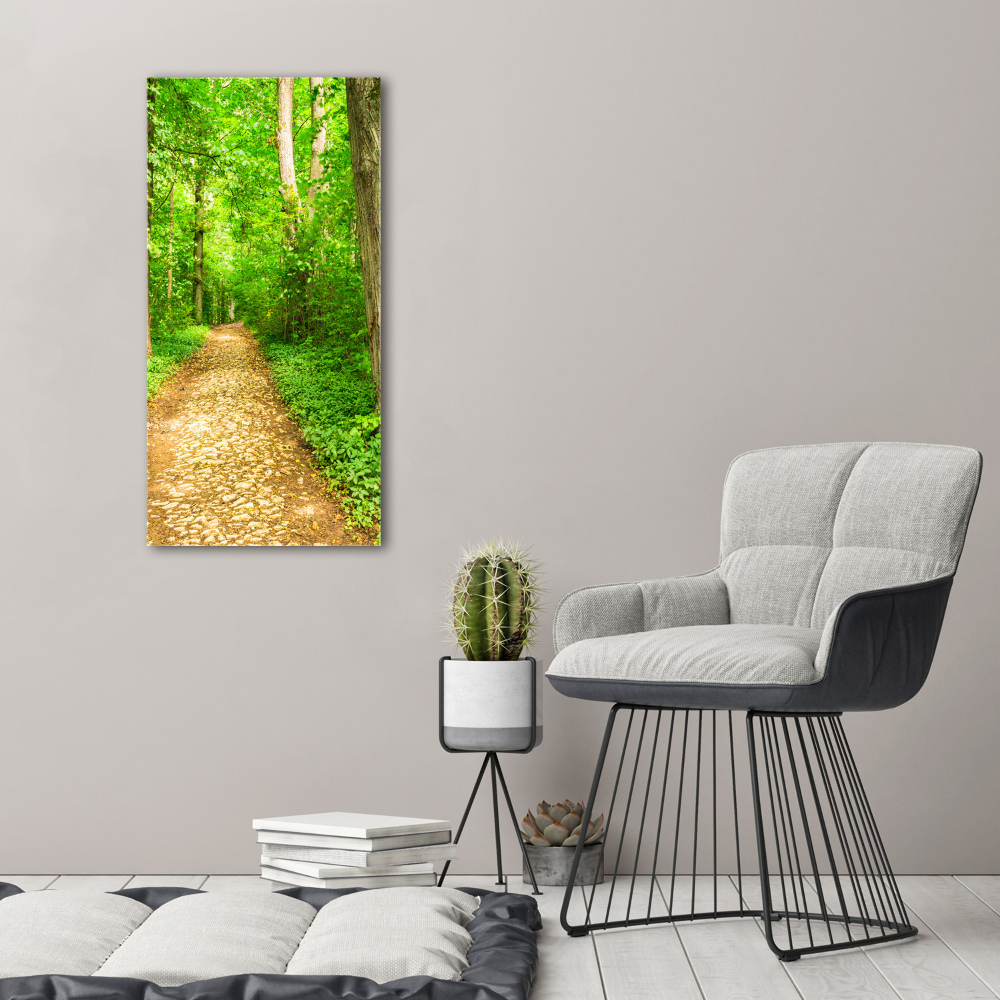 Acrylic glass print Path in the forest