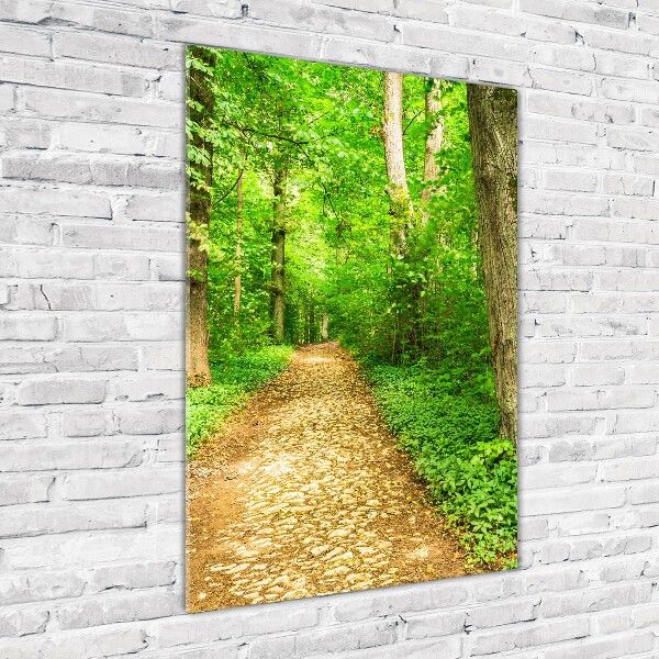 Acrylic glass print Path in the forest