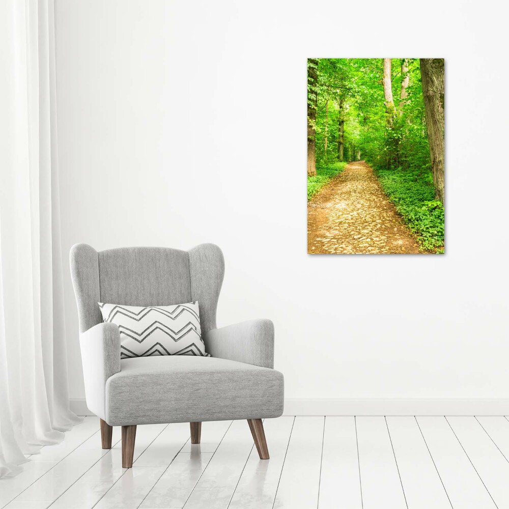 Acrylic glass print Path in the forest