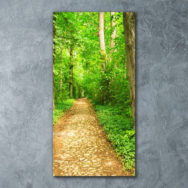 Acrylic glass print Path in the forest