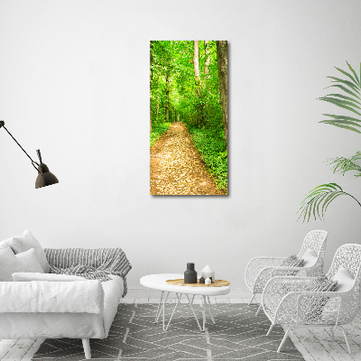 Acrylic glass print Path in the forest