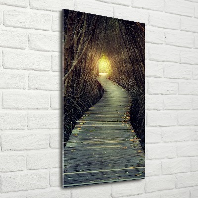 Print on acrylic Path in the forest