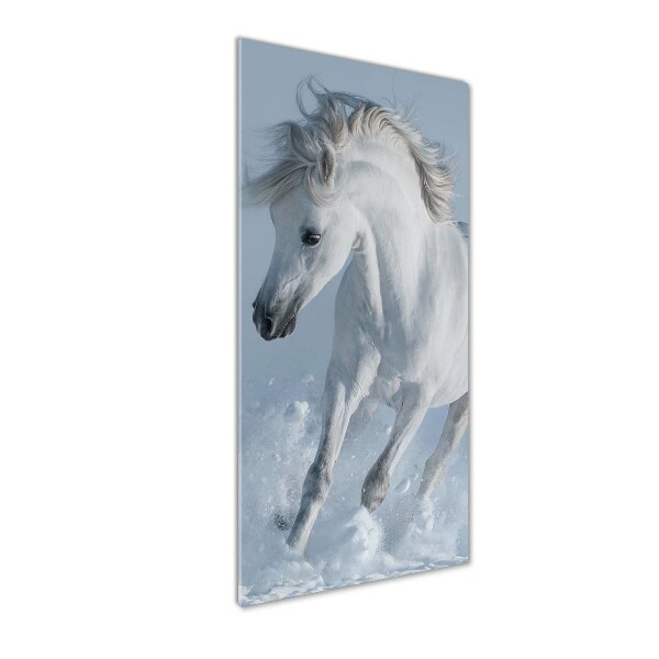 Wall art acrylic White horse at a gallop