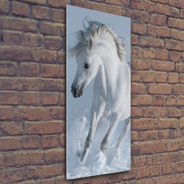 Wall art acrylic White horse at a gallop