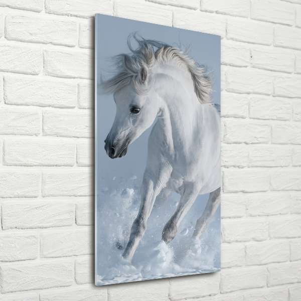 Wall art acrylic White horse at a gallop