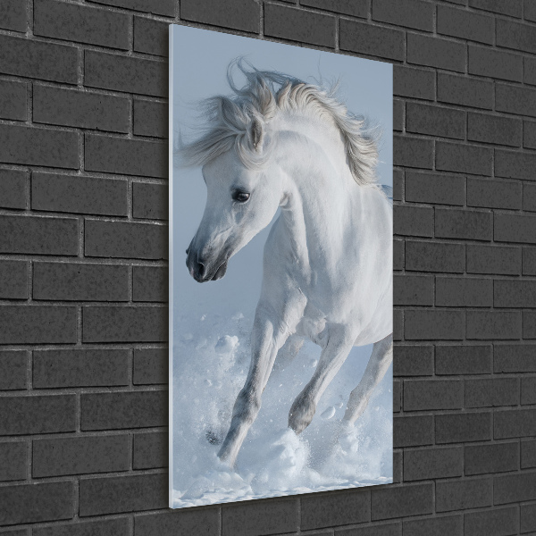 Wall art acrylic White horse at a gallop