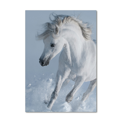 Wall art acrylic White horse at a gallop