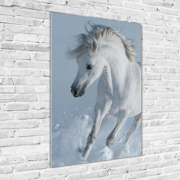 Wall art acrylic White horse at a gallop