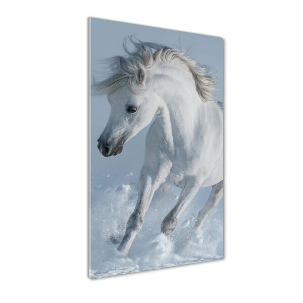 Wall art acrylic White horse at a gallop