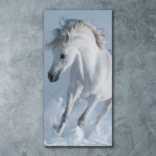 Wall art acrylic White horse at a gallop