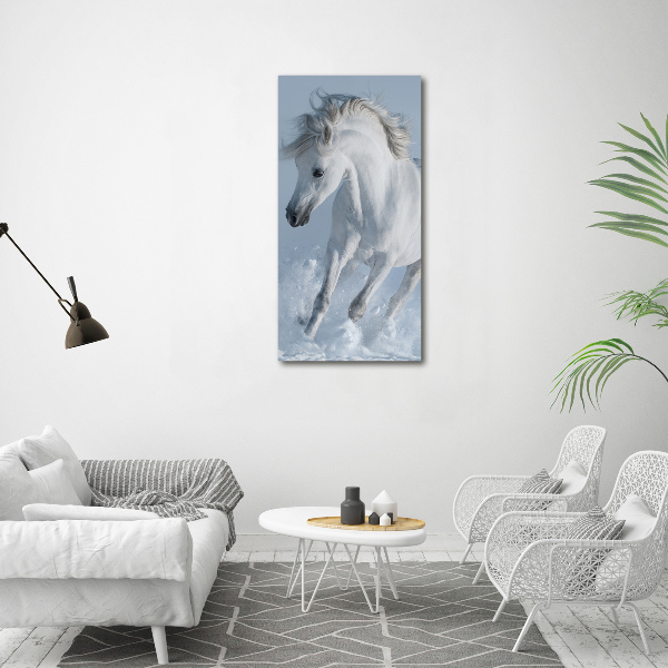 Wall art acrylic White horse at a gallop