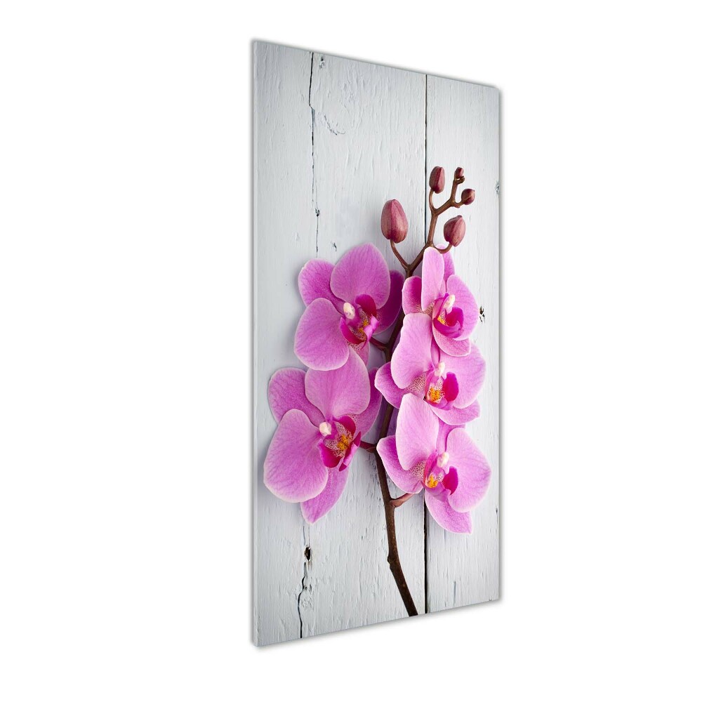 Print on acrylic Pink orchid