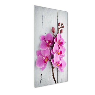 Print on acrylic Pink orchid