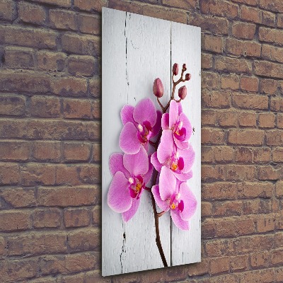 Print on acrylic Pink orchid