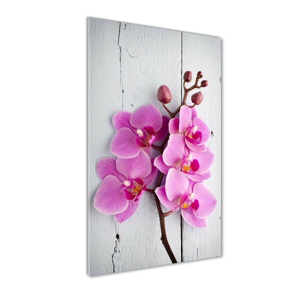 Print on acrylic Pink orchid