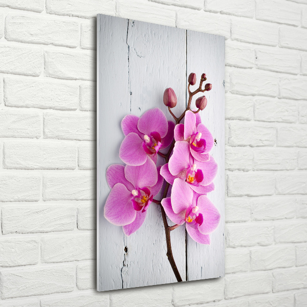 Print on acrylic Pink orchid