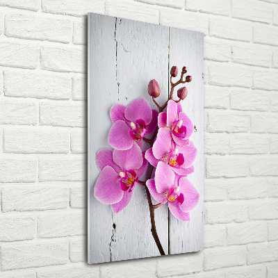 Print on acrylic Pink orchid